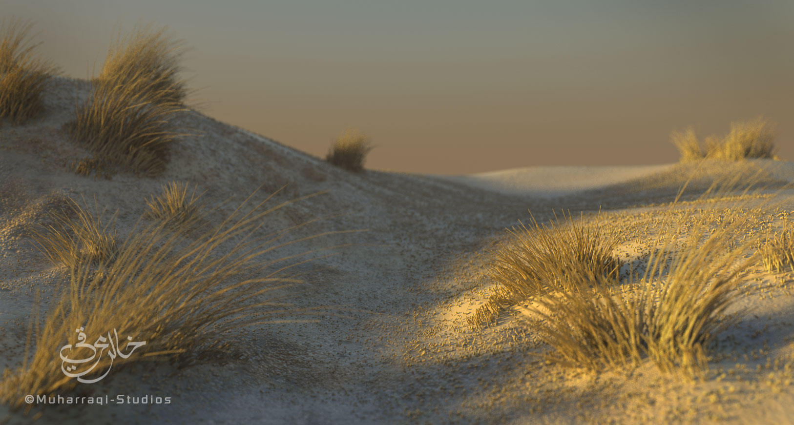 desert