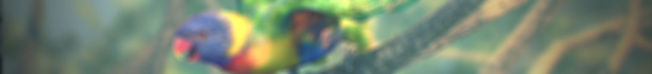 Slide background
