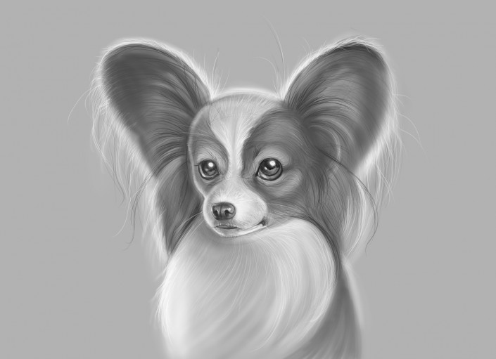 Biskit