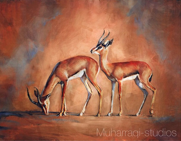 gazelle1