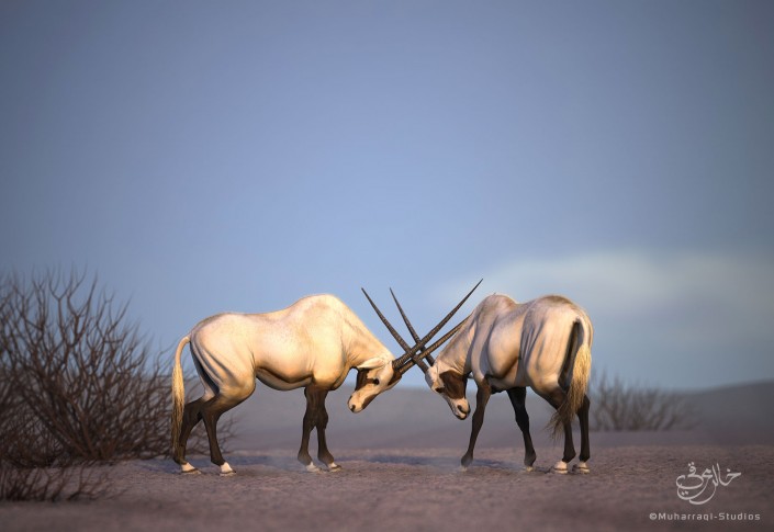 oryx2